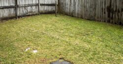 Glen Eden, 3 bedrooms