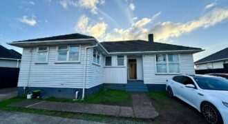 807 Sandringham Road, Mount Roskill