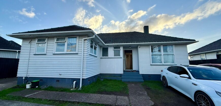 807 Sandringham Road, Mount Roskill