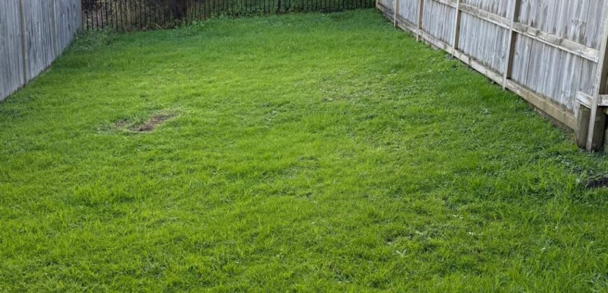 3B Putiputi Way, Papakura, Auckland