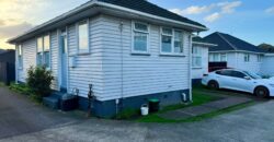 807 Sandringham Road, Mount Roskill