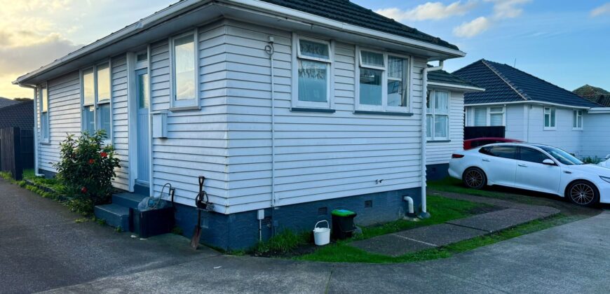 807 Sandringham Road, Mount Roskill