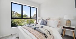 5/101 White Swan Road, Mount Roskill