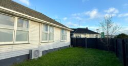 807 Sandringham Road, Mount Roskill